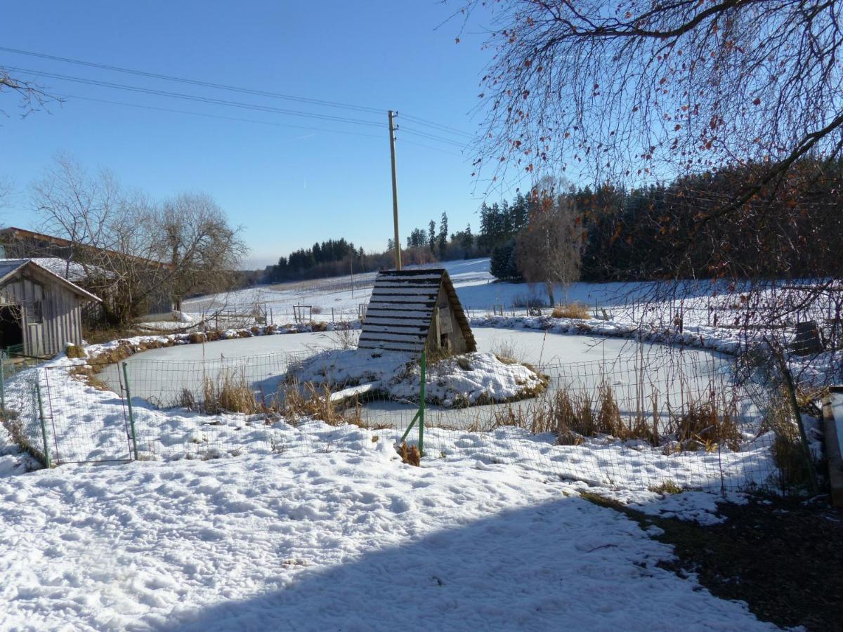 Wellnesshotel Schiesselhof Grafenhausen Esterno foto